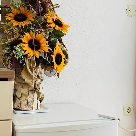 Gostinjska kuća And Hoselito U Centru Makarske 3*